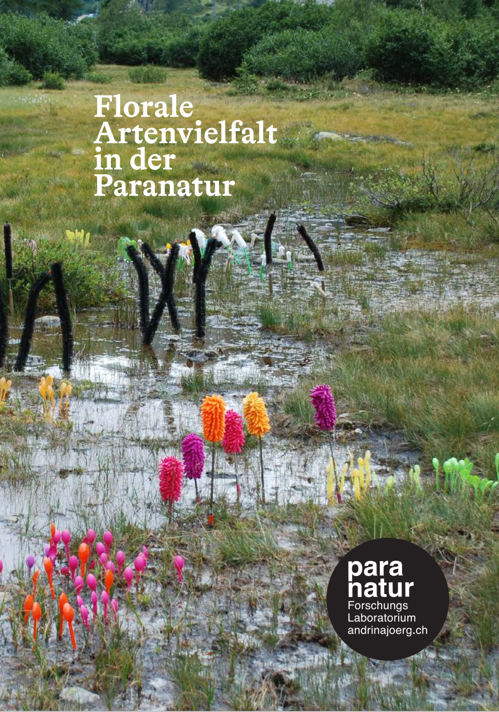 Coverbild Paranatur-Bestimmungsbuch