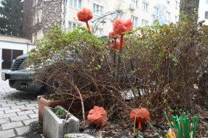 (Bild: wien)